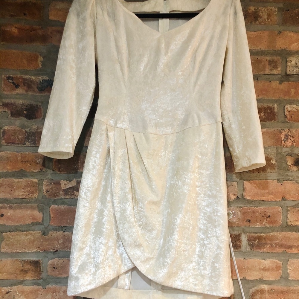 Vintage Pearl Velvet Dress